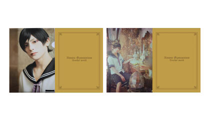 clear file set